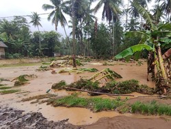 Update Terkini 8 Kecamatan di Malang Diterjang Longsor-Banjir