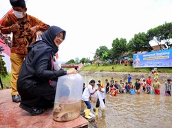 Cara Unik Banyuwangi Lestarikan Ekosistem Air dengan Festival Petik Sungai