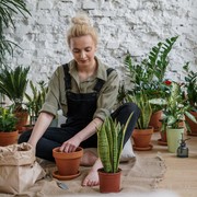 Dari Perempuan 'Girlboss' Jadi 'Soft Girl Era'! Kenali 4 Istilah Trending yang Muncul di Medsos