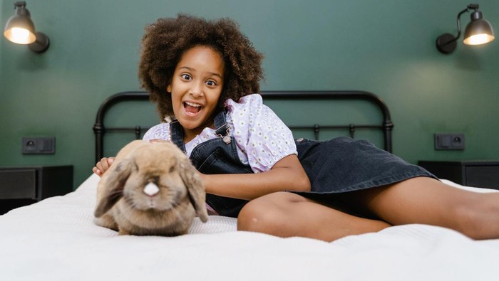 5 Referensi Warna Kamar Tidur yang Menenangkan untuk Istirahat yang Berkualitas