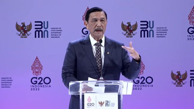 Kesaksian Luhut, Banyak Negara Maju Minta Tolong ke Jokowi