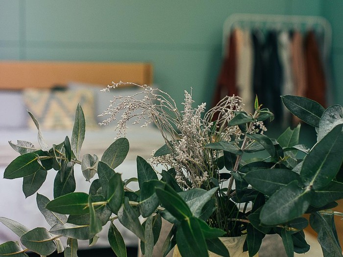 Sage Green/ Foto: Pexels/ Rachel Claire Sage Green/ Foto: Pexels/ Rachel Claire