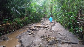 Banjir dan Longsor Bali Tewaskan 6 Warga