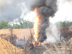 Detik-detik 3 Sumur Minyak Ilegal di Kebun Karet Muba Meledak-Terbakar