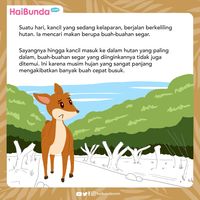 Dongeng: Kancil Dan Air Mata Buaya - Foto 1