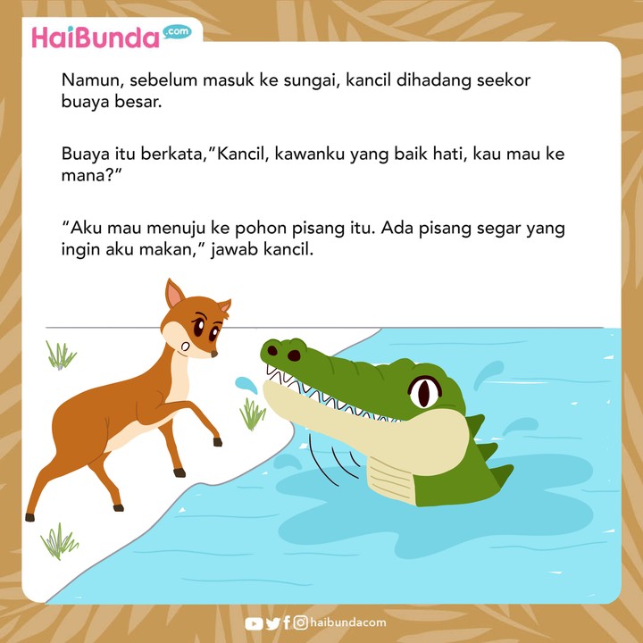 Dongeng Cerita Nusantara Kancil dan Air Mata Buaya