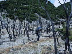 Hunting Foto di Hutan Mati Papandayan, Cantik dan Eksotis