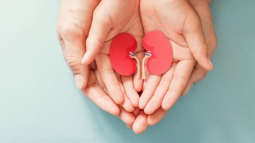 PENGGUNAAN OBAT PUYER