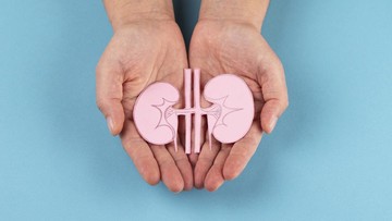 PROSEDUR TRANSPLANTASI GINJAL