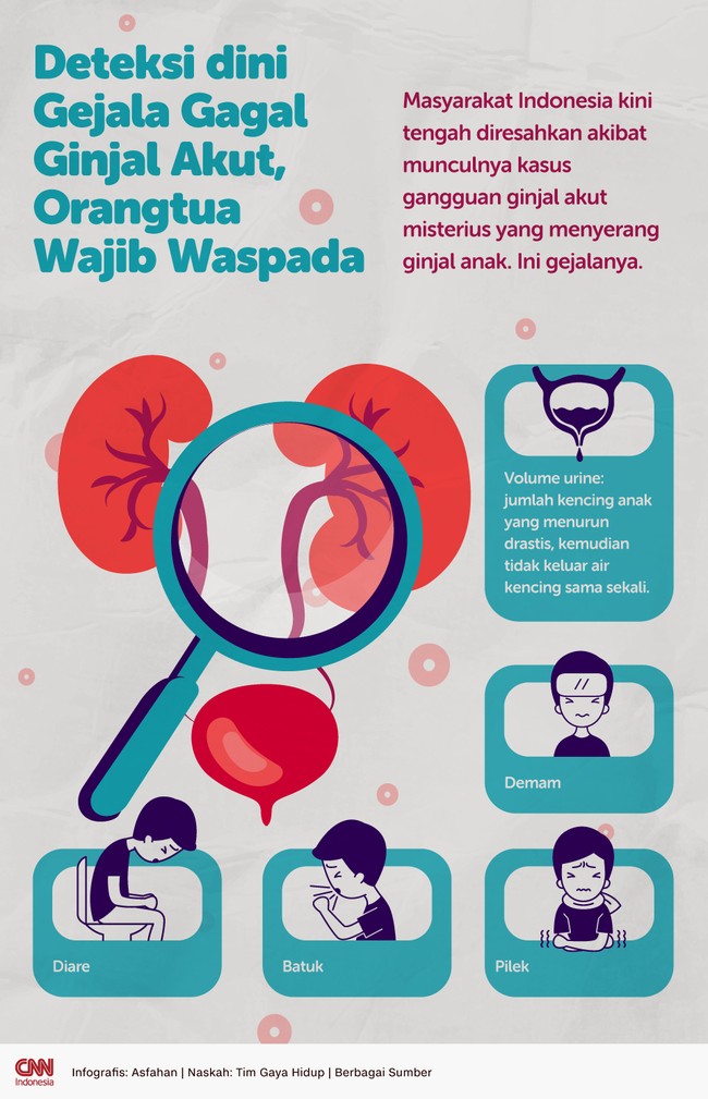 Masyarakat Indonesia kini tengah diresahkan akibat munculnya kasus gangguan ginjal akut misterius yang menyerang ginjal anak. Ini gejalanya.