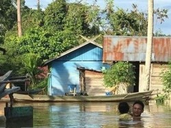 Gubernur Kalteng Dorong Perkuat Sinergi Antar-Stakeholder Tangani Banjir