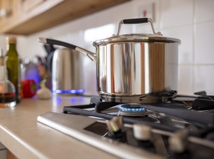 7 Panci Paling Mahal di Dunia, Mau Coba Masak Pakai yang Harganya Rp59 Juta Bun?