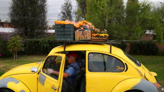 FOTO: Cerah Marigold, 'Bunga Kematian' dalam Day of the Dead Meksiko