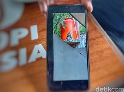 Heboh Kera Liar Teror Pelajar di Cicalengka Bandung
