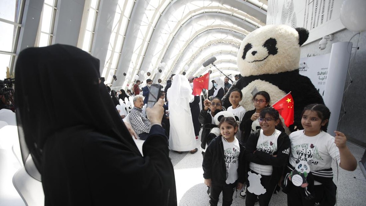 FOTO: Suhail dan Soraya, Dua Panda Raksasa dari China untuk Qatar