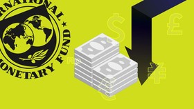 Mengenal IMF, 'Dokter' Bagi Negara yang Ekonominya Sekarat