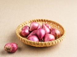 Cara Menanam Bawang Merah dari Biji sampai Panen dan Tips agar Cepat Tumbuh