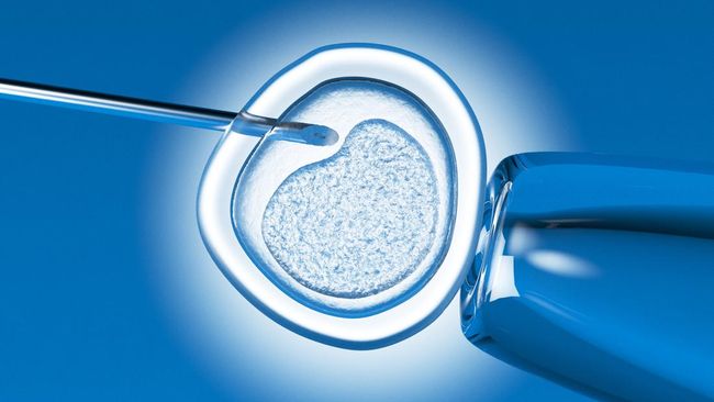 Beragam Faktor Penyebab Embrio Gagal Berkembang saat Prosedur IVF