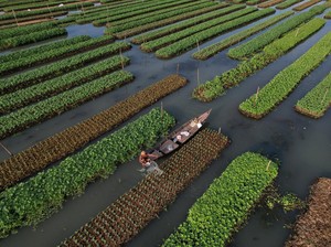 Strategi Hemat dan Efisien Melalui Bisnis Ramah Lingkungan