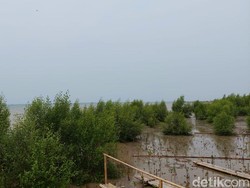 Daratan Pesisir Utara Banten Sudah Hilang Lebih dari 1 Km