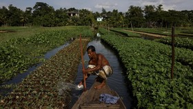 IMF Beri Utang Rp70,75 T ke Bangladesh di Tengah Krisis