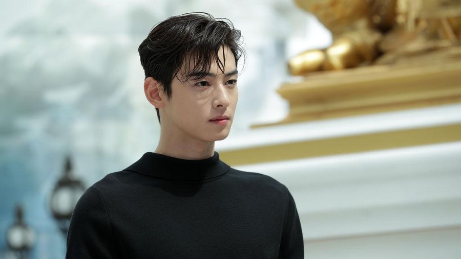 Cha Eun Woo