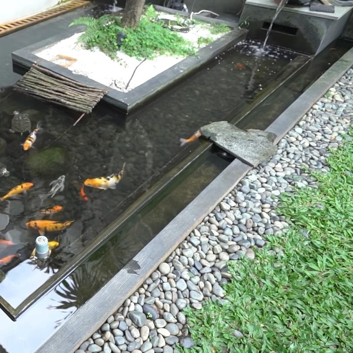 <p>Di taman, Tora memiliki kolam ikan yang diisi dengan ikan koi dan kura-kura peliharaannya. “Ini tempat bengong sebetulnya,” canda mantan pemain Extravaganza ini kepada Andre Taulany di TAULANY TV. (Foto: YouTube TAULANY TV)</p>
