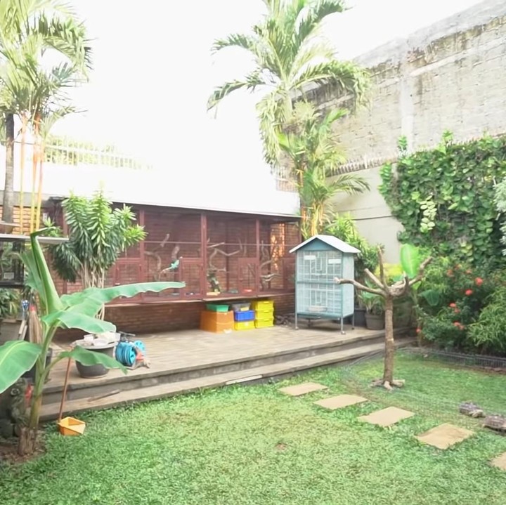 <p>Selain kolam ikan dan akuarium reptil, ada kebun peliharaan kecil di rumah Tora Sudiro. Karena hobi, aktor ini memelihara total 5 iguana, 2 burung lovebird, dan 2 kura-kura tortoise atau kura-kura darat. Jadi seperti mini zoo, ya. (Foto: YouTube TAULANY TV)</p>