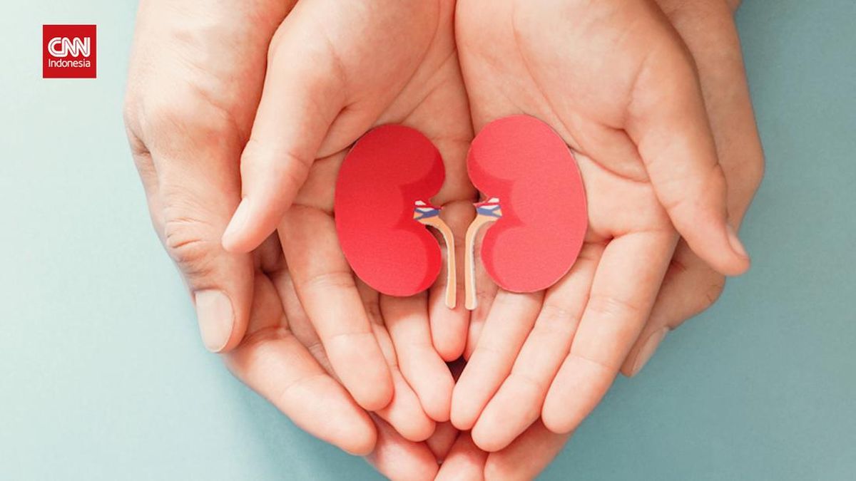 Waspada Ginjal Bocor, Penyakit Senyap yang Bisa Berakibat Fatal