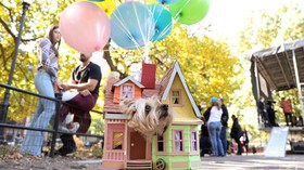 FOTO: Gaya Gemas Anjing Berdandan ala Halloween