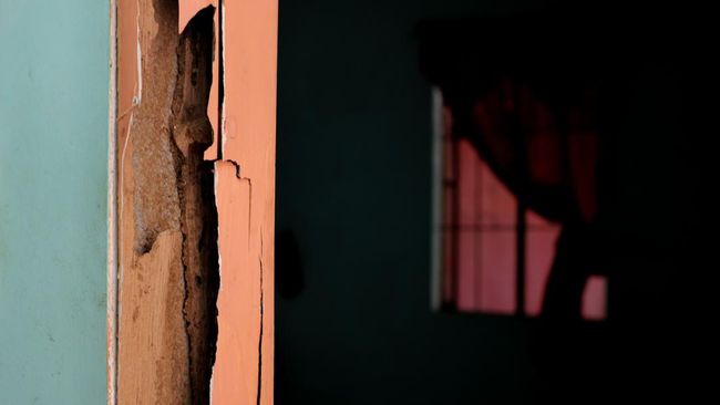Rayap jadi salah satu hama yang merusak rumah dengan material kayu. Pemilik rumah wajib tahu tanda sarang rayap di rumah.