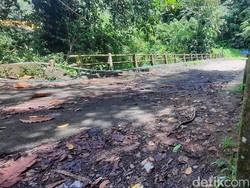Kesaksian Warga Horornya Jembatan Bolong Mamuju Sang Peminta Tumbal