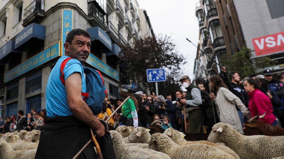 FOTO: Parade Penggembalaan Ribuan Domba di Jalanan Kota Madrid