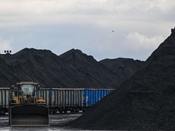 Jelang Akhir Tahun Harga Batu Bara RI Anjlok 8,67%