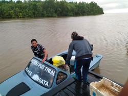 Pria di Kutim Disambar Buaya 4 Meter saat Tidur di Jembatan, Kepala Sobek