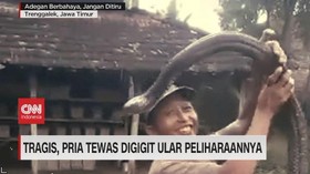 img-title VIDEO: Tragis, Pawang Ular Tewas Digigit Kobra Peliharaan Sendiri