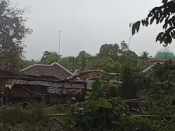 Pohon Tumbang Timpa 3 Rumah di Lebak