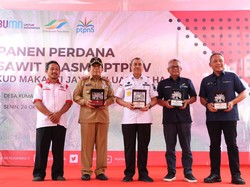 Gubernur Riau Puji Program Peremajaan Sawit Rakyat PTPN V