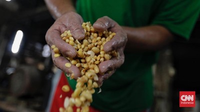 img-title Zulhas Akui Harga Kedelai Mahal, Tapi Bakal Turun pada Desember