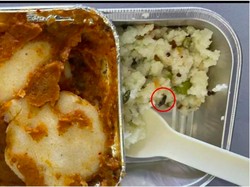 Lapor Ada Kecoak di Makanan Pesawat, Maskapai Malah Bilang Jahe