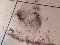 5 Titik Ini Jarang Dibersihkan di Rumah, Bisa Jadi Sarang Debu