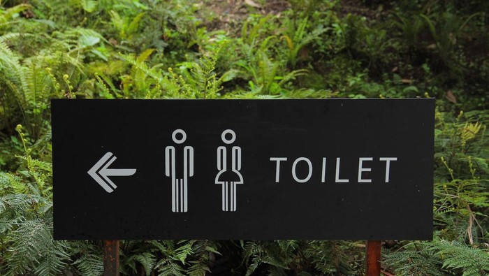 siswa di Evergreen High School hanya diperbolehkan ijin ke toilet ketika kelas sedangkan berlangsung sebanyak 3x saja dalam semester Foto: pexels.com/hafidz-alifuddin-18111