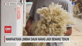 VIDEO: Manfaatkan Limbah Daun Nanas Jadi Benang Tenun