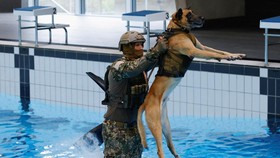 FOTO: Mengintip Latihan Pasukan Khusus Anti-Teror KSK Jerman