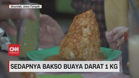VIDEO: Menikmati Bakso Buaya Darat 1 Kg & Betis Domba Utuh