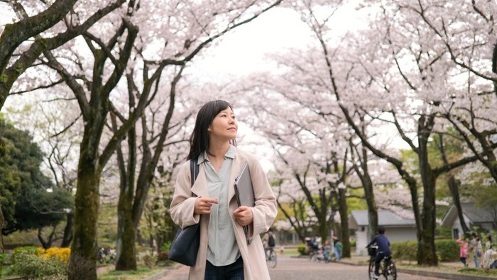 Asian mid-adult businesswoman relaxing and working in the tree area of Springtime