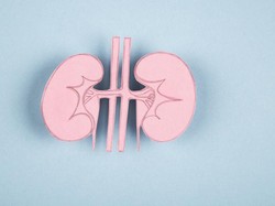Jangan Diteruskan! 5 Kebiasaan Makan Ini Bisa Merusak Ginjal