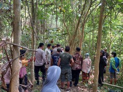 Temuan Jasad Sarjana Muda Kendari yang Tinggal Kerangka Usai Hilang Setahun