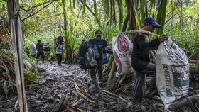 TN Ujung Kulon Wajibkan Pengunjung Bayar Tiket Masuk Nontunai