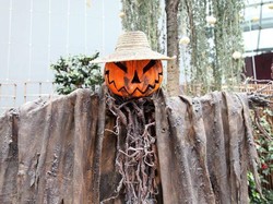 Sejarah Halloween, Dirayakan Setiap Tanggal 31 Oktober